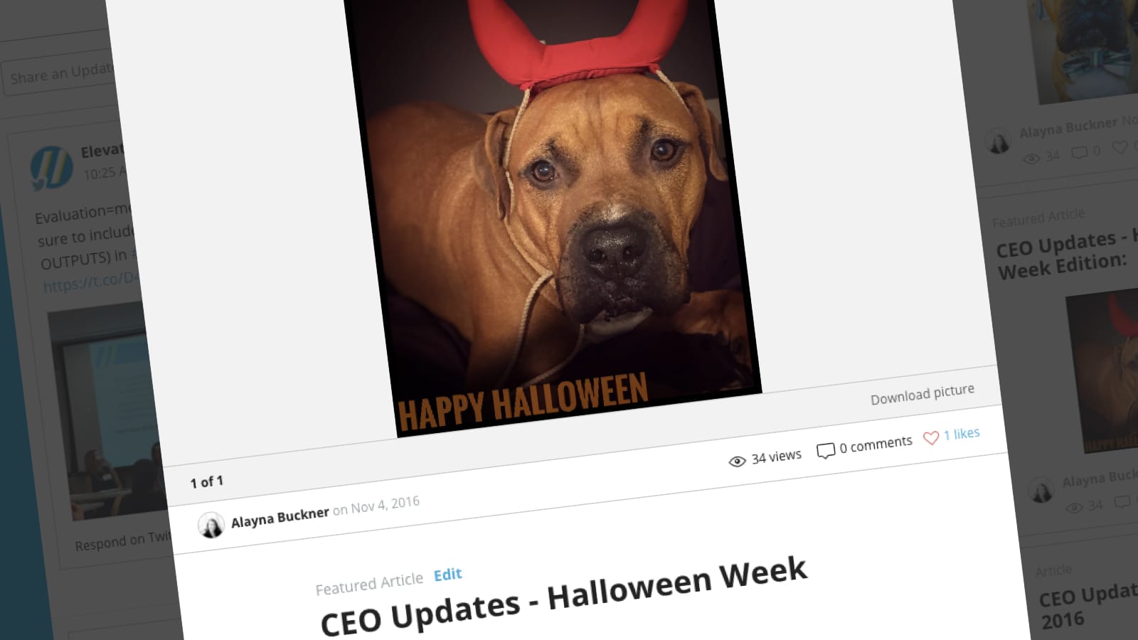 NEWS Article on Elevate’s Jostle Intranet