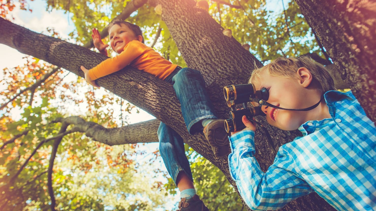 Woodland Trust works with schools to educate children about the importance of the UK’s woods and forests