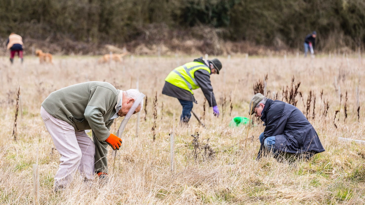 Woodland Trust currently plants over a million trees a year